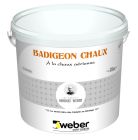 Enduit de parement de façade a la chaux minerale WEBER BADIGEON CHAUX blanc casse 001 seau de 10kg