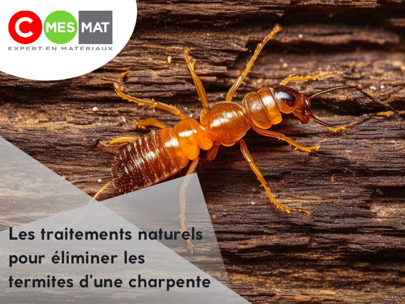 Les traitements naturels pour éliminer les termites d'une charpente