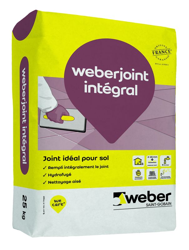 Weberjoint Integral